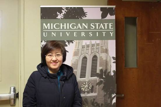 vipp人物访谈中国画画家李瑞教授